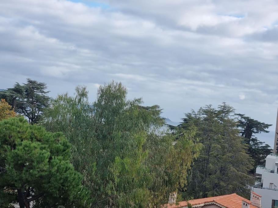 Nice-appt 4 Voyageurs 3 Lits, 800 M/mer * Nizza